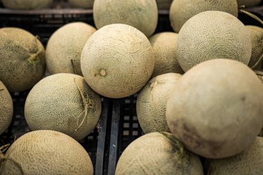 Kavunlar sergileniyor ve süpermarketlerde satılıyor.
