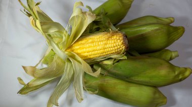 Kabuk ve ipekle koçandaki taze sarı mısırın yakın çekimi, canlı çekirdeklerini ve doğal dokusunu gözler önüne seriyor. Tarım, aşçılık ve organik gıda temaları için ideal.