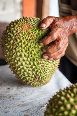 Birinin eli olgun bir Durian 'ı kesiyor..