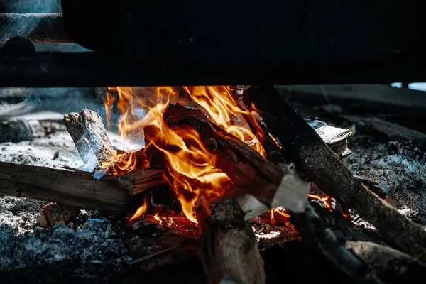 Altın sarısı bir alev yemek pişirmek için kullanılan odunlarda yanıyor..