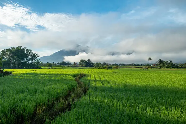 Doğal manzara, sabah güneşinde yeşil pirinç tarlaları olan dağlar. Açık hava ve bulutlu mavi gökyüzü.