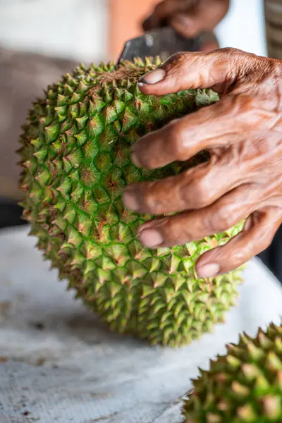 Birinin eli olgun bir Durian 'ı kesiyor..