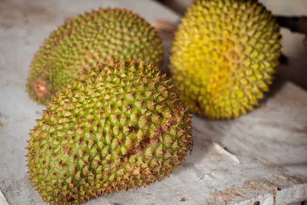 Sarımsı yeşil derili Durian meyvesi olgunlaştığını gösteriyor. Öğleden sonra güneş ışığıyla fotoğraflanmış..