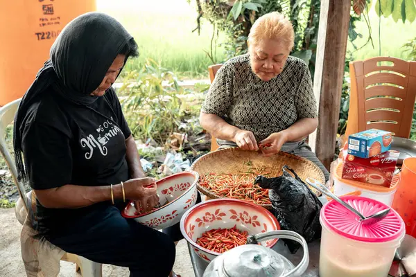 İki kadın bahçede oturmuş baharata hazır kırmızı biber işliyor..