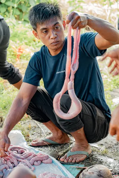 Derisi yüzülmüş ve bağırsakları sökülmüş bir domuzun bağırsaklarını tutan bir adam..
