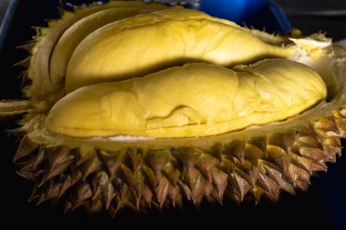 Sarı ve yumuşak dokuları olan olgun bir Durian meyvesi. Bu fotoğraftaki durian iyi kalite ve kalın derili..
