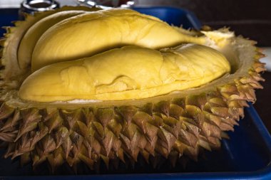 Sarı ve yumuşak dokuları olan olgun bir Durian meyvesi. Bu fotoğraftaki durian iyi kalite ve kalın derili..