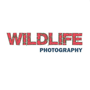 Colorful wildlife photography logo vector design clipart