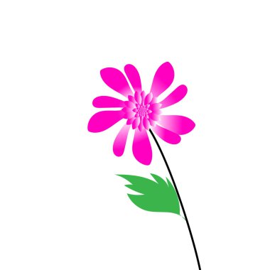 çiçek ve yaprak simgesi - renkli çiçek vektör illüstrasyonu 