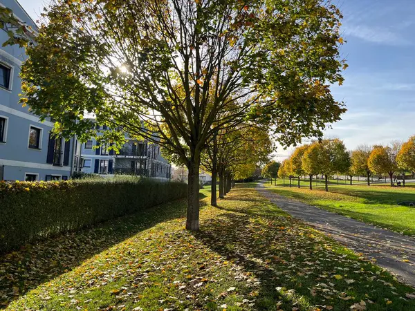 Eine bitkisel Park Szene. Ağaç Parçası 