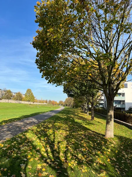 Eine herbstliche Park Szene mit Weg und Bumen