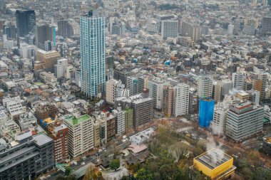 Tokyo Metropolitan Hükümet Binası 'ndan (Tocho) erken, gri bir sabahta Shinjuku şehri bölgesinde sis, sis ve kirlilikle birlikte görülen Tokyo silueti manzarası. Aşağıda Juniso Kumano-jinja Tapınağı ve Shinjuku Eco Galerisi var.