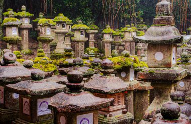 Nara, Japonya - 5 Mart 2018 - Nara Parkı 'nda yağmurlu bir günde, Unesco Dünya Mirası sahasına giden nemli bir patika boyunca yosun kaplı geleneksel taş fenerler. Sahne