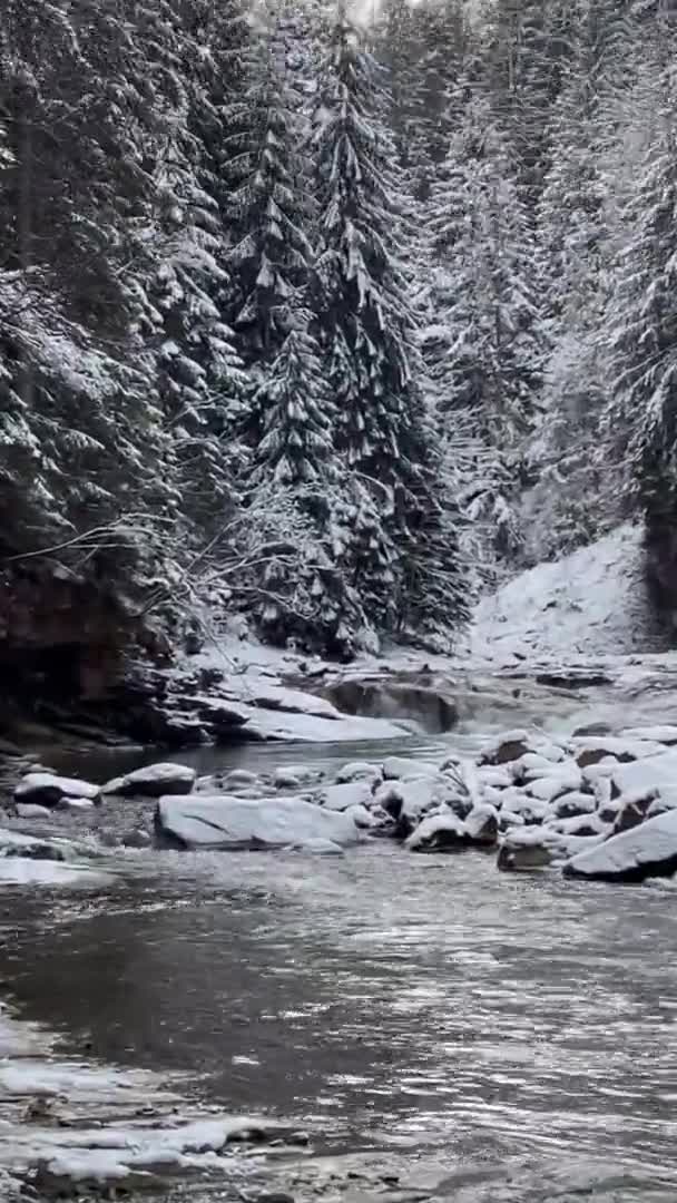 Karpatlar Nehir Şelale Kış Dağlar Kar Manzara Gökyüzü Doğa Güzel — Stok video