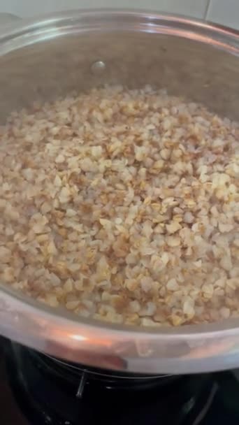 Trigo Mourisco Mingau Cereal Cozinha Cozinheiro Guisado Benefício Útil Vitaminas — Vídeo de Stock