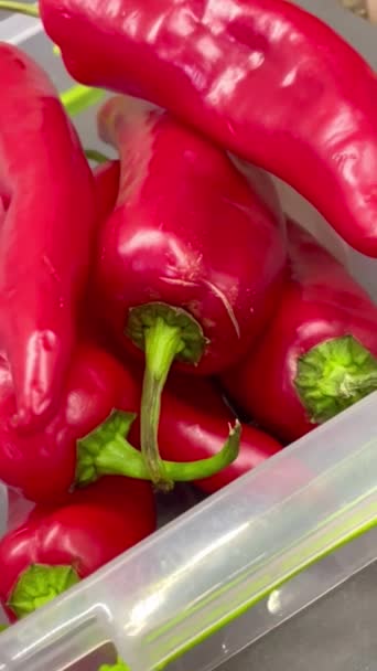 Pieprz Słodki Czerwony Warzywa Warzywa Przydatne Zdrowie Zawartość Kalorii Witaminy — Wideo stockowe