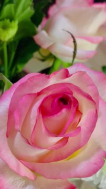 çiçekler, buket, bahar, kadınlar günü, çiçek, güzel, kadınlar için, kızlar, kadınlar, mutluluk, mutlu ol, aşk