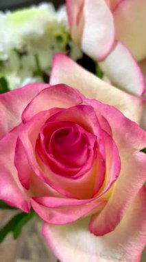 çiçekler, buket, bahar, kadınlar günü, çiçek, güzel, kadınlar için, kızlar, kadınlar, mutluluk, mutlu ol, aşk