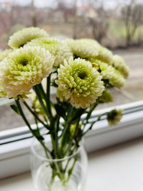 Çiçekler, pencere, doğa, bahar, hayat, güzel 