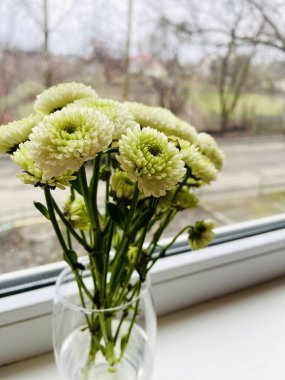 Çiçekler, pencere, doğa, bahar, hayat, güzel 