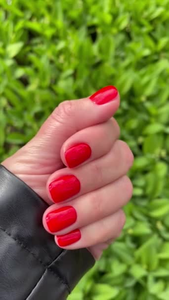 Manicure Czerwony Jasny Paznokcie Palce Lakier Kolor Wiosna Ręka Kobieta — Wideo stockowe