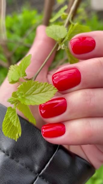 Μανικιούρ Κόκκινο Φωτεινό Καρφιά Δάχτυλα Βερνίκι Χρώμα Άνοιξη Χέρι Γυναίκα — Αρχείο Βίντεο