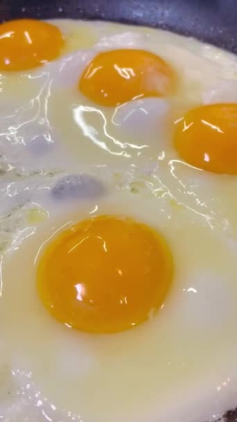 Eieren Friet Vet Olie Pan Keuken Frituur Kok Eiwit Smakelijk — Stockvideo