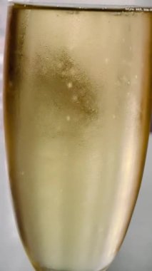 Şampanya, şarap, bardak, baloncuk, alkol, içki, içecek, yoğuşma, tazelik, damla, yaz, lezzetli, zarif, pahalı, zengin, pencere, masa, hayat, lezzetli