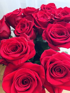 Gül, gül, buket, çiçek, lüks, zenginlik, zenginlik, tatil, doğum günü, hediye, hediye, hediye, güzel, kırmızı, bitki, çiçek, vazo, kadın, duygu, aşk