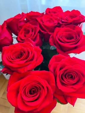 Gül, gül, buket, çiçek, lüks, zenginlik, zenginlik, tatil, doğum günü, hediye, hediye, hediye, güzel, kırmızı, bitki, çiçek, vazo, kadın, duygu, aşk