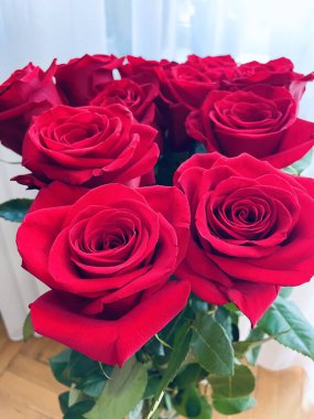 Gül, gül, buket, çiçek, lüks, zenginlik, zenginlik, tatil, doğum günü, hediye, hediye, hediye, güzel, kırmızı, bitki, çiçek, vazo, kadın, duygu, aşk