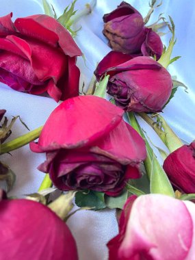 Güller, güller, çiçekler, üzüntü, solgunluk, kuru, bitki, keder dolu, masa