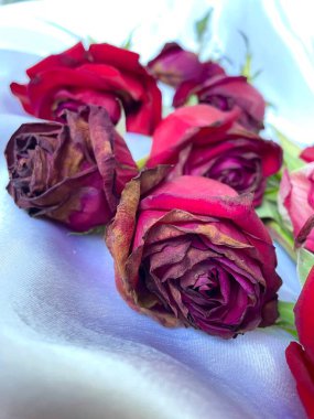 Güller, güller, çiçekler, üzüntü, solgunluk, kuru, bitki, keder dolu, masa