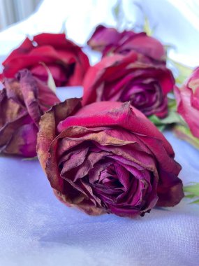 Güller, güller, çiçekler, üzüntü, solgunluk, kuru, bitki, keder dolu, masa