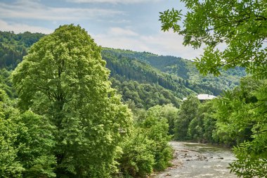                    Ukrayna, Transcarpathia, Karpatlar, dağlar, Kvasy, doğa, yaz, Ukrayna, gökyüzü, mavi, yeşil           