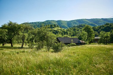                    Ukrayna, Transcarpathia, Karpatlar, dağlar, Kvasy, doğa, yaz, Ukrayna, gökyüzü, mavi, yeşil           