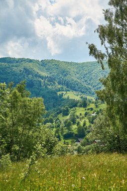                   Ukrayna, Transcarpathia, Karpatlar, dağlar, Kvasy, doğa, yaz, Ukrayna, gökyüzü, mavi, yeşil           
