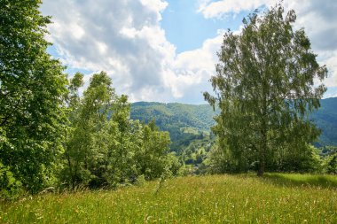                    Ukrayna, Transcarpathia, Karpatlar, dağlar, Kvasy, doğa, yaz, Ukrayna, gökyüzü, mavi, yeşil           