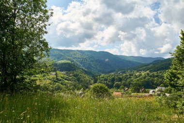                    Ukrayna, Transcarpathia, Karpatlar, dağlar, Kvasy, doğa, yaz, Ukrayna, gökyüzü, mavi, yeşil           