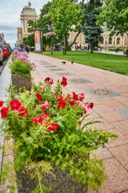 Ukraine, Odesa, Ukrainian, architecture, street, sky, space, nature, summer, travel, trip, freedom, love, life, tourism, journey, summer, summertime clipart