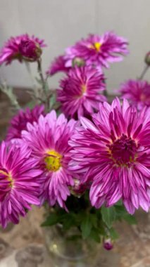 Sonbahar çiçekleri, kasımpatılar, buket, masa, romantizm, aşk, vazo, sonbahar