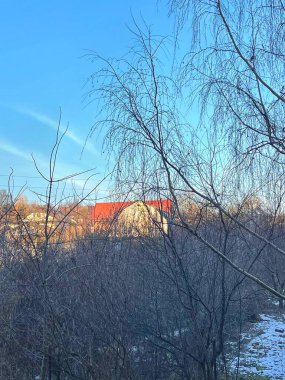 Doğa, kış, ağaçlar, çalılar, ev, evler, kar, dallar, soğuk, temiz hava, yürüyüş.