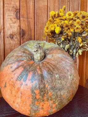 Sonbahar çiçekleri, balkabağı, balkabağı, meyve, sebze, kasımpatı, kasımpatı, buket, sarı, yeşil, portakal, masa, ruh hali, aşk, ilham, yaşam, canlı.