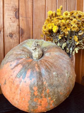 Sonbahar çiçekleri, balkabağı, balkabağı, meyve, sebze, kasımpatı, kasımpatı, buket, sarı, yeşil, portakal, masa, ruh hali, aşk, ilham, yaşam, canlı.