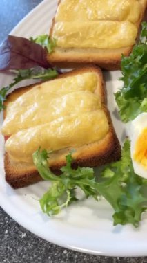 Haşlanmış yumurta, yumurta, protein, sarısı, tost, tereyağı, sandviç, fırında peynir, yeşiller, tabak, salata, sağlıklı vitaminler, sağlık, yemek, kahvaltı, öğle yemeği, masa, mutfak, aşçı, aşk, hayat..