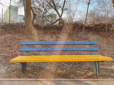 Ukrayna bayrağı, doğa, sonbahar, kış, bahar, yürüyüş, açık hava, üzüntü, savaş, savaş, barış, Ukrayna, Ukrayna, Ukrayna, park, sokak, ağaçlar, dallar, güneşli gün, aşk hayatı, turizm, yolculuk, seyahat, ışınlanma, farkındalık