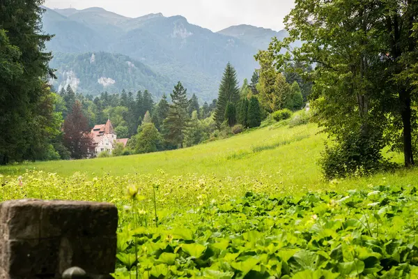 Romen Peles Şatosu, Sinaia kenti, Romanya, istirahat, tatil, hafta sonu, Avrupa, bahar, yaz, doğa, mimari, turizm, yürüyüş, ilginç, yolculuk, seyahat, tarih, seyahat, aşk hayatı.