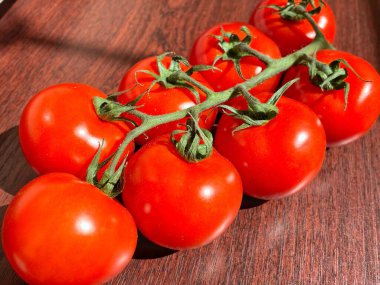 Asmada domates, domates, domates, domates, kırmızı, vegan, organik, botanik, yemek, sebze, lezzetli, vitamin, sağlık, uzun yaşam.
