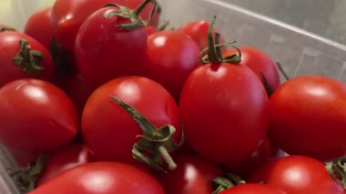 Domates, kırmızı, yeşil, domates, sebze, sebze, yemek, vegan, organik 