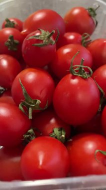 Domates, kırmızı, yeşil, domates, sebze, sebze, yemek, vegan, organik 